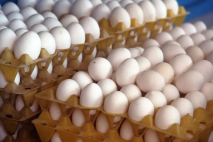 FSSAI Egg Sample Testing