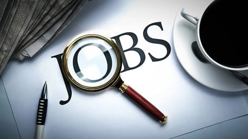 KVS NVS Jobs: સરકારી નોકરીનું સપનું જોનારાઓને ખુશખબર! KVS અને NVS માં આવેદનની તારીખ લંબાઈ, તરત અરજી કરો! 1 KVS NVS Jobs