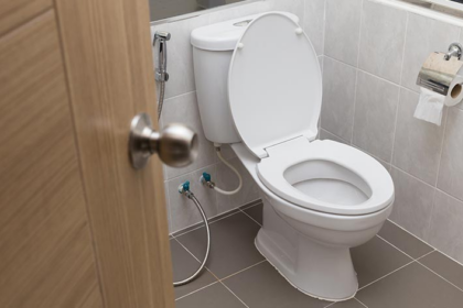 Toilet Posture
