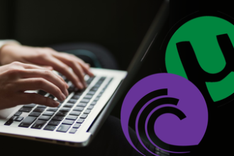 what is torrent