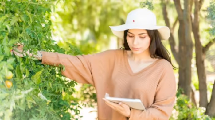 BSc Agriculture Career Guide: શું તમે પણ બનવા માંગો છો એગ્રીકલ્ચર ઓફિસર? જાણો કેવી રીતે બીએસસી એગ્રીકલ્ચર તમારા માટે ખોલશે સફળતાના નવા દ્વાર. 1 ypv4tpba