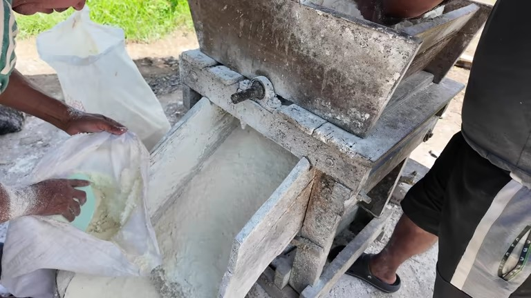 Flour Mill Open In Village: ગામડામાં લોટની ઘંટીનો વ્યવસાય કેવી રીતે શરૂ કરવો? જાણો કેટલો ખર્ચ થશે અને દર મહિને કેટલી કમાણી થશે. 1