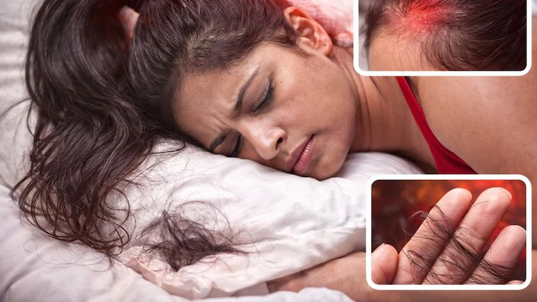 Healthy Hair Sleep Routine: વાળના સ્વાસ્થ્ય માટે બેસ્ટ સ્લીપિંગ ટિપ્સ: ખુલ્લા વાળ કે ઢીલી ચોટલી? જાણો તમારા વાળના પ્રકાર મુજબ રાત્રે શું કરવું વધુ હિતાવહ છે 1 5njiv2kr
