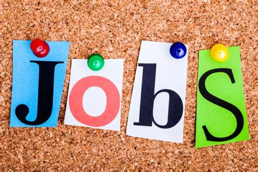 HCL Recruitment 2026: હિન્દુસ્તાન કોપર લિમિટેડમાં પરીક્ષા વગર સીધી ભરતી! એક્સપર્ટ્સ માટે ૧ લાખ સુધી કમાવવાની તક, જાણો ઇન્ટરવ્યુ અને પગારની વિગત 1 HCL Recruitment 2026