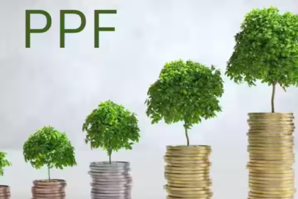 PPF Investment Rules