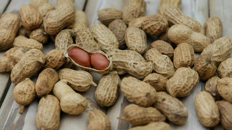 Peanut Health Benefits: શિયાળામાં મગફળી ખાવાના અદભૂત ફાયદા! હૃદયથી લઈને ત્વચા સુધી, જાણો કેમ ડાયટમાં મગફળી છે પાવરફુલ સુપરફૂડ 1