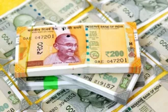 rbi repo rate cut pause for investors borrowers