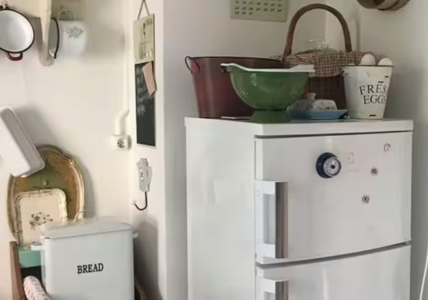 Fridge Safety Tips: સાવધાન! ફ્રિજની ઉપર આ ૫ વસ્તુઓ રાખવાની ભૂલ ક્યારેય ન કરતા, ગરમી અને વાઈબ્રેશનથી ફ્રિજ થઈ શકે છે ડેમેજ; જાણો વાસ્તુ અને ટેકનિકલ કારણો 1 16o8tmor
