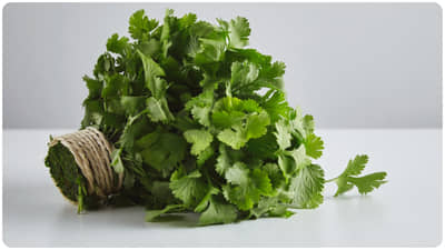 coriander leaves dhaniya aab66c056e4844d6336a28b1810b8a08