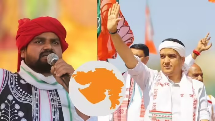 Harsh Sanghavi Dediapada Visit: ચૈતર વસાવાના ગઢ ડેડિયાપાડામાં હર્ષ સંઘવીની ગર્જના, ૧૦૦૦ કાર્યકરોએ ધારણ કર્યો કેસરીયો; શું બોલ્યા ડેપ્યુટી સીએમ? 1 niafeyab