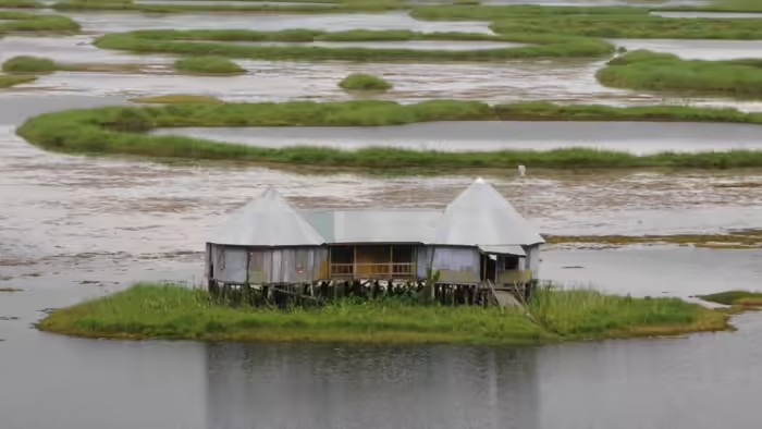 Loktak Lake Manipur: લોકતક સરોવર જ્યાં તરતા ટાપુઓ પર વસે છે આખું ગામ; જાણો વિશ્વના એકમાત્ર તરતા નેશનલ પાર્ક અને અનોખા 'નાચતા હરણ' વિશેના રસપ્રદ તથ્યો! 1