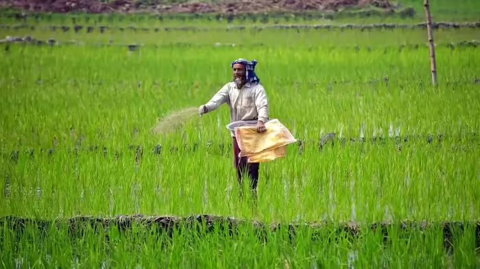 Fertilizer Supply Crisis 2026: ઈરાન સંકટ વચ્ચે DAP ખાતરની અછતનું ટેન્શન, જાણો ખેડૂતો પર કેવી થશે અસર અને શું છે સરકારનો પ્લાન 1 50bidedi