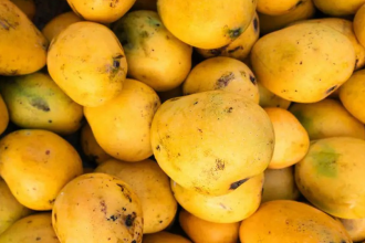 Diabetes Diet Mango Safety