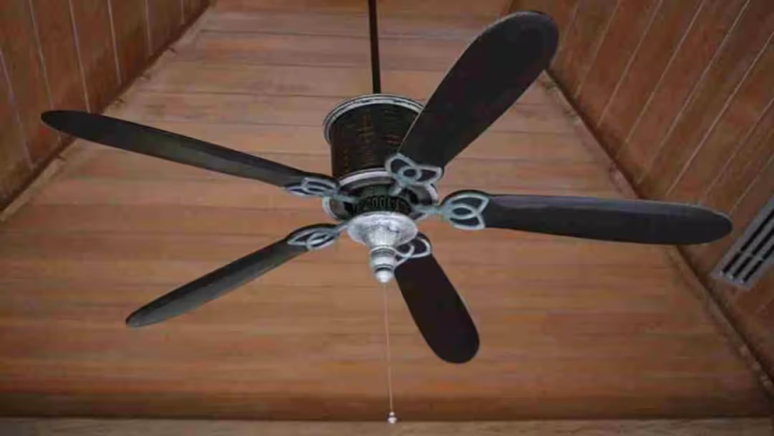 Ceiling Fan Blade Science: ભારતમાં 3 બ્લેડ અને અમેરિકામાં 5 કેમ? સીલિંગ ફેનના આ તફાવતમાં છુપાયેલું છે ચોંકાવનારું વિજ્ઞાન 1 Ceiling Fan Blade Science