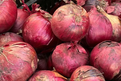 Raw Onion Health Benefits