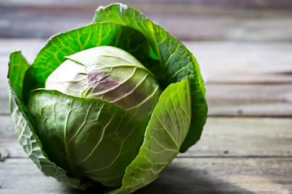 Cabbage and Neurocysticercosis Myth
