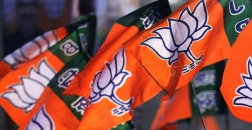 Gujarat Local Body Election Results: મહેસાણાથી લઈને ભાવનગર સુધી ભાજપનો દબદબો, અનેક પાલિકામાં ભગવો લહેરાયો 1 Gujarat Local Body Election Results