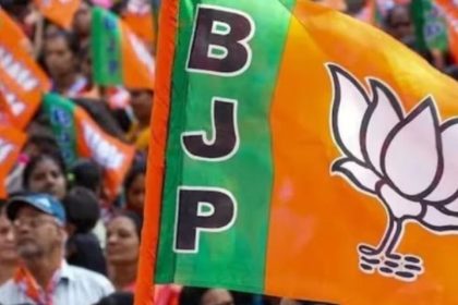 Ahmedabad Local Body Election Results