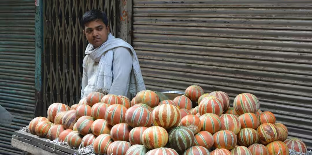 Muskmelon Selection Tips Summer