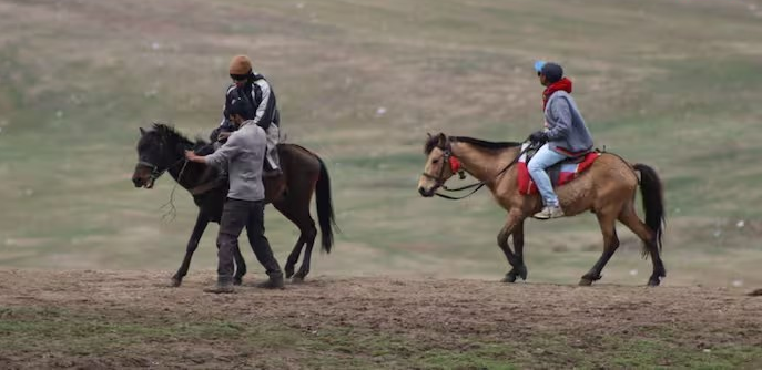 Animal Ride Weight Limit: હવે વિદેશો બાદ ભારતમાં પણ ઘોડા-ખચ્ચરની સવારી માટે વજનની મર્યાદા નક્કી, જાણો કયા કાયદા હેઠળ થઈ શકે છે કાર્યવાહી 1 Animal Ride Weight Limit