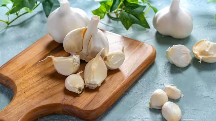 Garlic Consumption Tips Summer: ઉનાળામાં લસણ ખાવાથી એસિડિટી, અપચો, મોઢામાં ચાંદા અને ખીલની સમસ્યા, જાણો ખાવાની સાચી રીત 1 Garlic Consumption Tips Summer