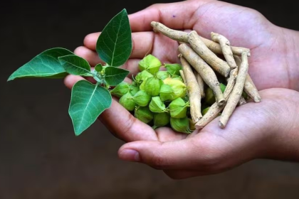 Ashwagandha FSSAI Rules