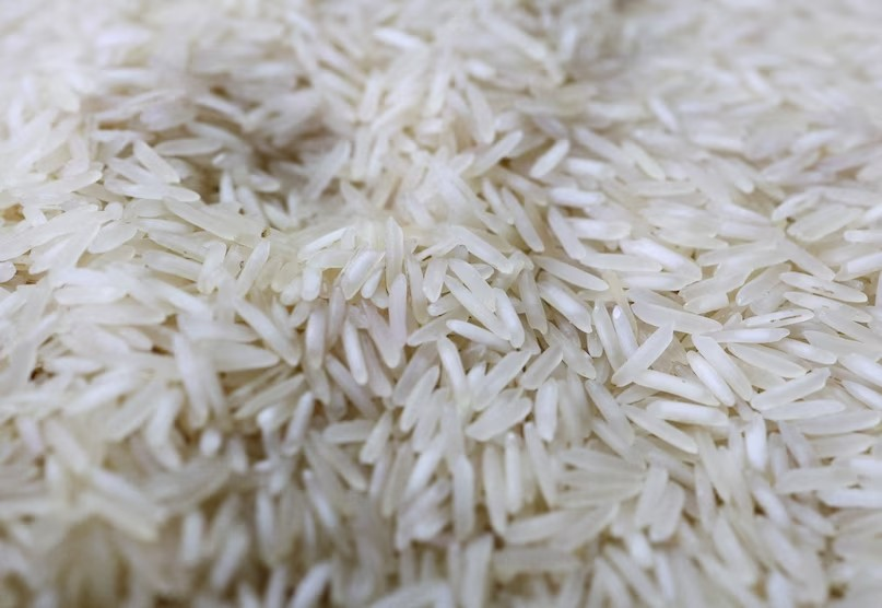 Climate Change Impact on Rice: ૨૦૭૦ સુધીમાં ભારતમાંથી ગાયબ થઈ શકે છે ચોખા! ૪૦ ડિગ્રી તાપમાનમાં ડાંગરના પાકને લાગી શકે છે હીટ સ્ટ્રોક, ભયાનક આંકડાઓએ વધારી ચિંતા 1 Climate Change Impact on Rice