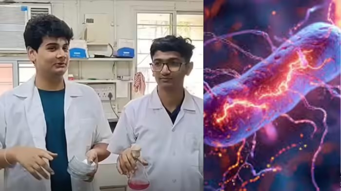 Bioluminescent Bacteria Discovery MSU: એમ.એસ. યુનિવર્સિટીના તેજસ્વી વિદ્યાર્થીઓએ રત્નાગીરીના સમુદ્રમાંથી શોધ્યા ખાસ બેક્ટેરિયા, વિજ્ઞાન જગતમાં વડોદરાનું નામ કર્યું રોશન 1 Bioluminescent Bacteria Discovery MSU