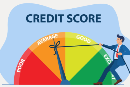 CIBIL Score Improvement