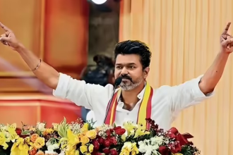 South Star Politics