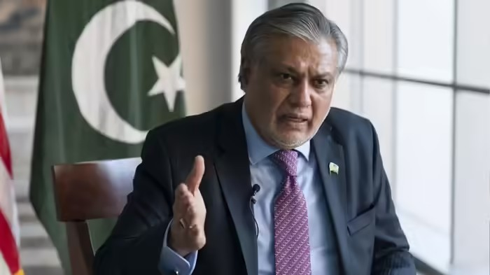 Pakistan on Kashmir Issue: 'ભારતીય મુસ્લિમોની ઓળખ ખતમ કરવામાં આવી રહી છે, RSSને રોકે દુનિયા', પાકિસ્તાને ઓક્યું ઝેર 1 Pakistan on Kashmir Issue