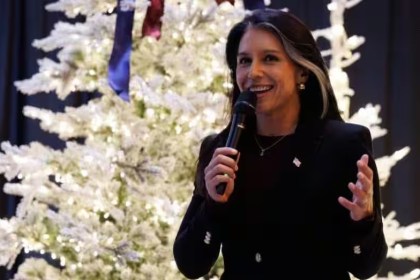 Tulsi Gabbard Resignation