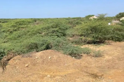 Bio-Methanol Plant Kutch