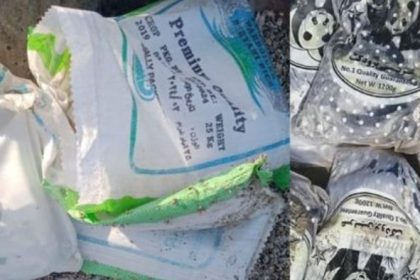 Gujarat Coastal Drugs Seized