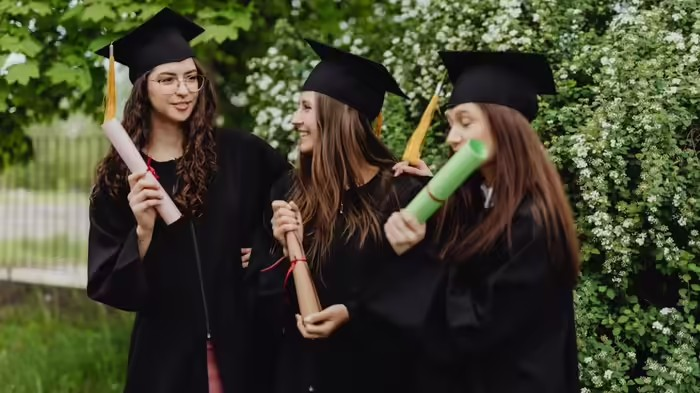 British Council Research Fellowship