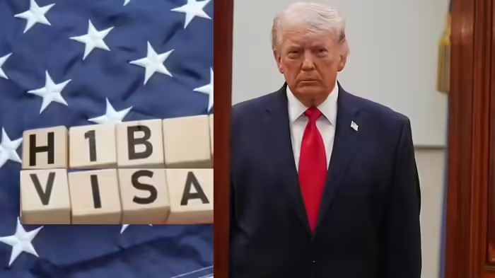 H1B Visa Applications Drop: IT પ્રોફેશનલ્સને મોટો ઝટકો, H-1B વિઝા પર ટ્રમ્પની સખ્તાઈ બાદ અરજીઓમાં આવ્યો 38.5% નો મોટો ઘટાડો 1 H1B Visa Applications Drop