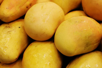 Right Way to Eat Mango