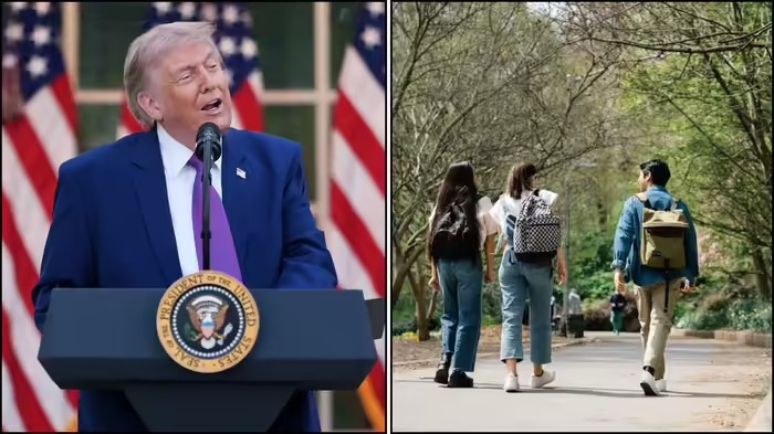 US Admission Decline: અમેરિકામાં ભણવાનો ક્રેઝ ઓછો થઈ રહ્યો છે, 20% ઘટ્યું એડમિશન, ટ્રમ્પની આ નીતિઓ બની કારણ 1 US Admission Decline