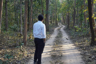 Forest Officer Career