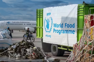 WFP Internship Application
