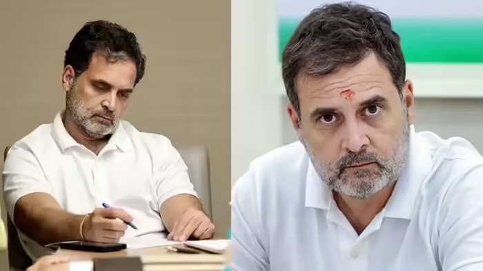 Rahul Gandhi on Results: અસમ-બંગાળમાં જનાદેશની ચોરી... TMCની હાર પર ખુશ થનારાઓને લઈને રાહુલ ગાંધીએ કહી દીધી મોટી વાત 1 Rahul Gandhi on Results