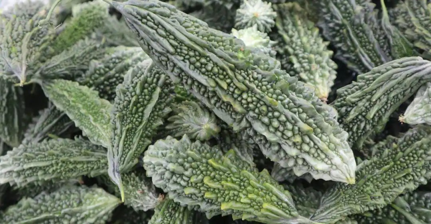 Karela Bitterness Removal Tips: કારેલું કડવું છે... હવે નહીં ચાલે બાળકોનું આ બહાનું, આ ટ્રીકથી બનાવશો તો ખતમ થઈ જશે કડવાશ 1 Karela Bitterness Removal Tips