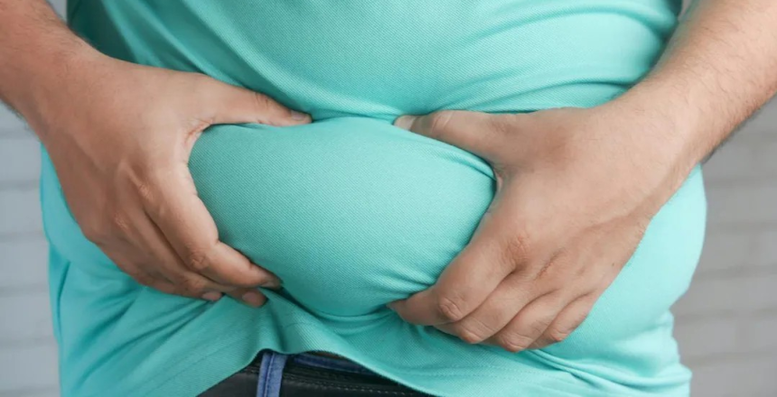 White Fat vs Brown Fat: શું દરેક પ્રકારની ચરબી હોય છે ખરાબ? જાણો મેદસ્વીતા અને બીમારીઓનું અસલી કનેક્શન 1 White Fat vs Brown Fat