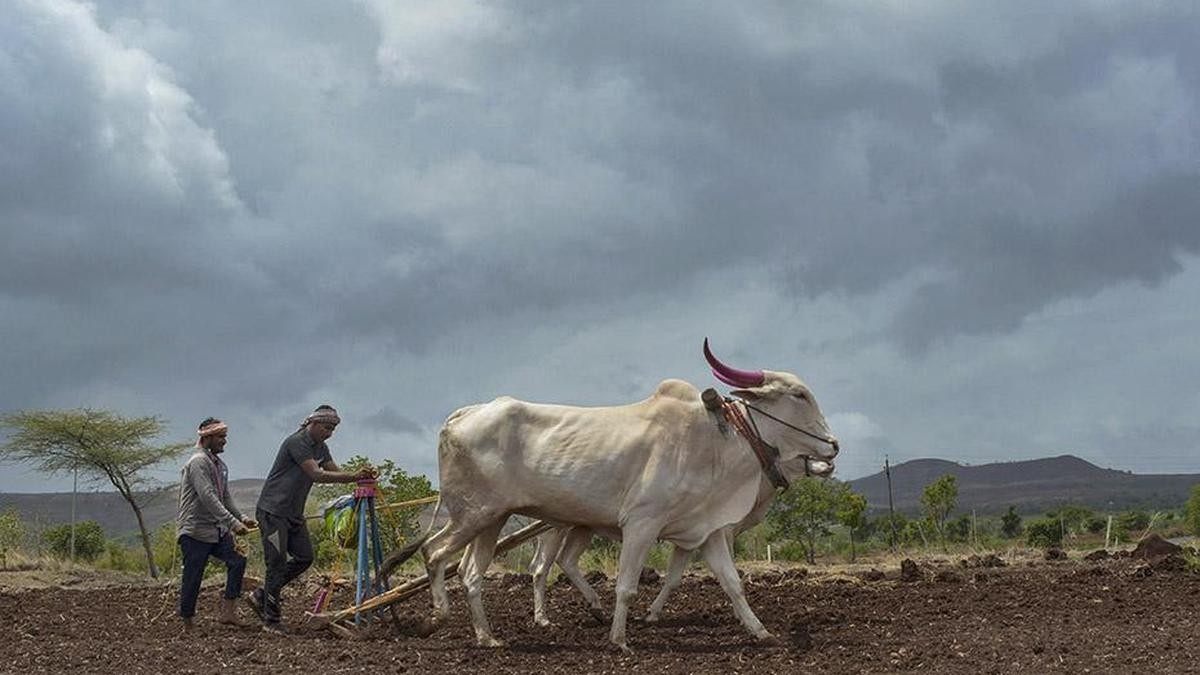 Maharashtra farm loan waiver