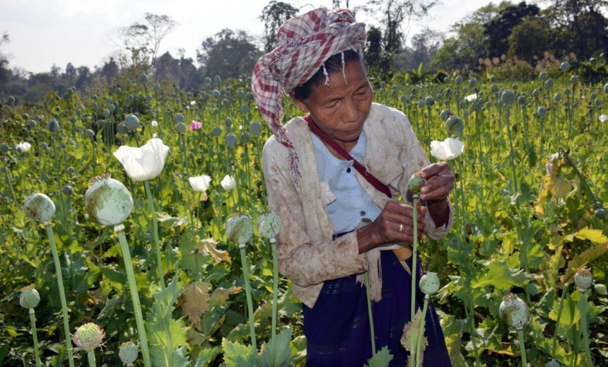 Myanmar Opium Production