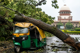 Tree Falling On Vehicle Compensation