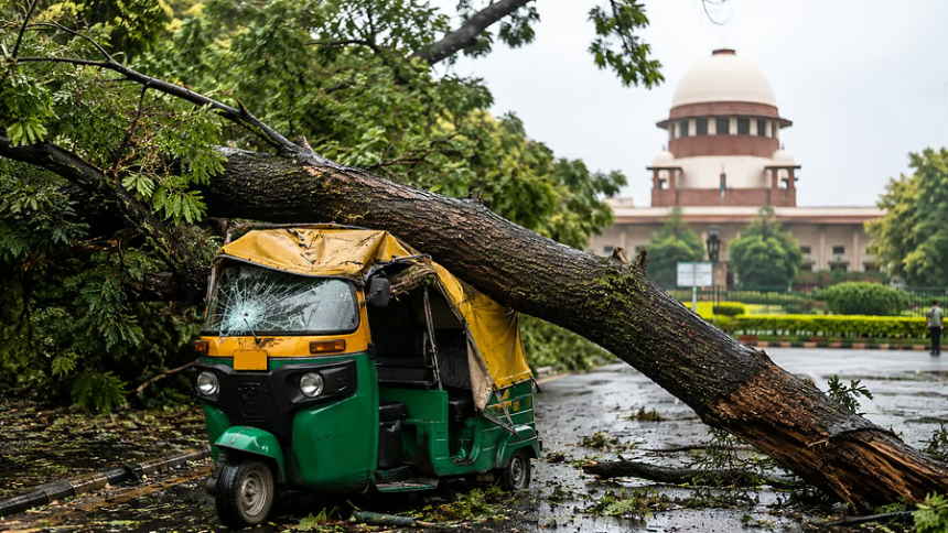Tree Falling On Vehicle Compensation: શું ગાડી પર ઝાડ પડવા પર વળતર મળે? સુપ્રીમ કોર્ટે સ્પષ્ટ કર્યું કાનૂની વલણ 1 Tree Falling On Vehicle Compensation