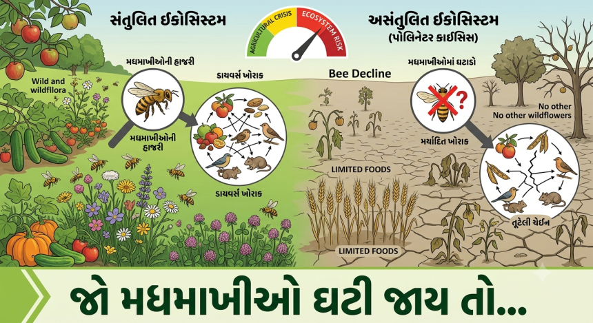 Pollinator Crisis Impact: જો પૃથ્વી પર મધમાખી ઘટી જાય તો શું થાય? 1 Pollinator Crisis Impact