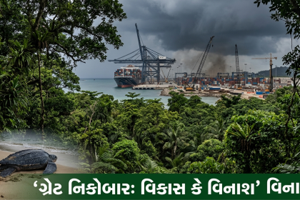 Great Nicobar Environmental Impact