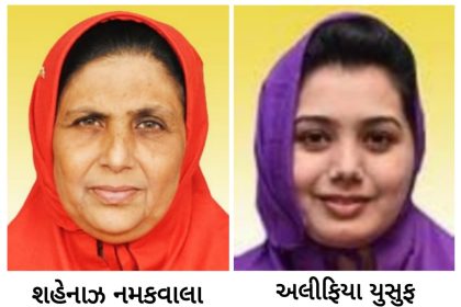 Bharuch Double Murder Case